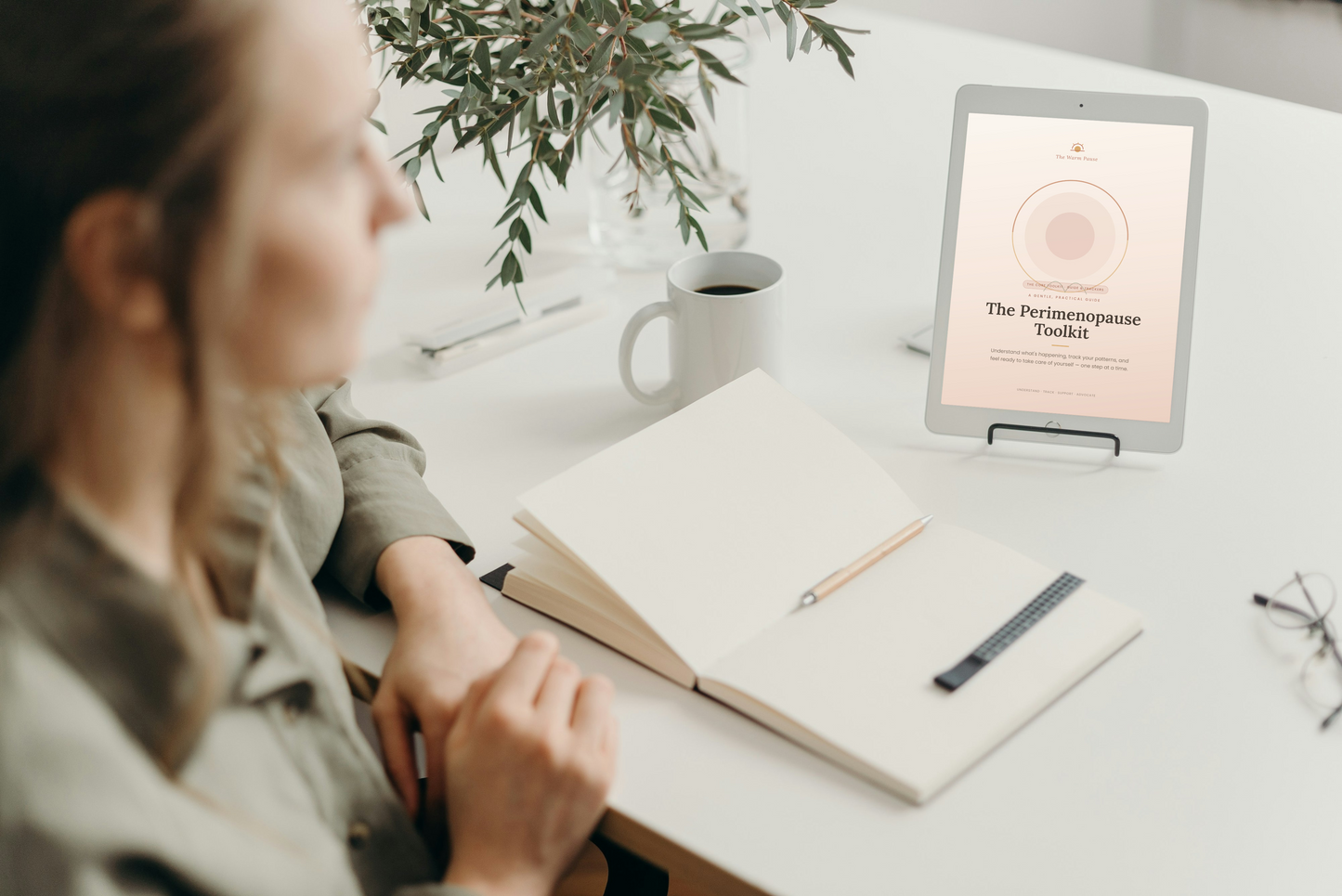 The Perimenopause Toolkit